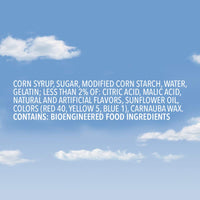 SKITTLES Wild Berry Gummy Candy, 12 oz Sharing Size Bag