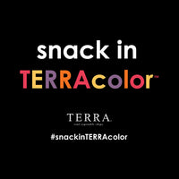 Terra Original Vegetable Chips with Sea Salt, 6.8 Oz (Pack of 2)
