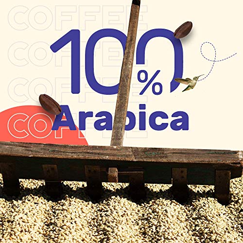 Sleepy Owl Coffee Cinnamon Hot Brew Bags | Set of 10 Bags - Makes 10 Cups | 3 Step Brew - No Equipment Required | 100% Arabica Beans - Sourced Directly from Farms