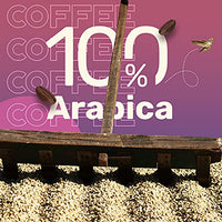 Sleepy Owl Cold Brew Pack Flavour Box | 5 Flavours | Set of 5 Brew Packs - Makes 15 Cups | 100% Arabica Coffee | 3 Step Cold Brew - No Equipment Required