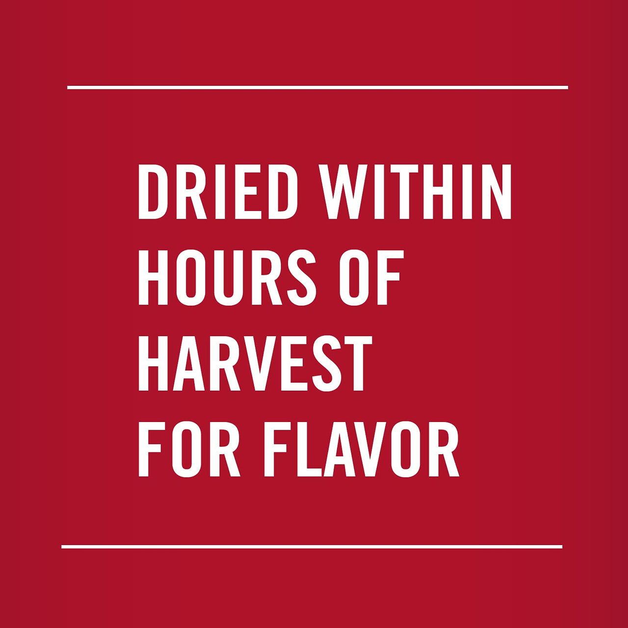 McCormick Parsley Flakes, 0.87 oz (Pack of 1)