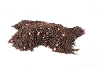 Ahmad Teas - Strawberry Black Tea 1.4oz - 20 Tea Bags (Pack of 2)