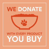 Rhino Rolls Organic Cinnamon Bun Cereal, 9.5 Ounce, Gluten Free, Non-GMO, EnviroKidz by Nature's  Path