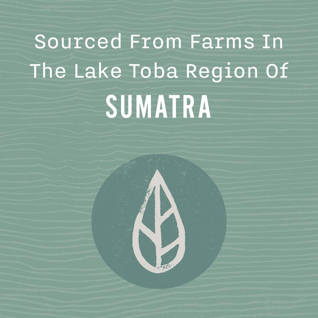 Allegro Coffee, Coffee Sumatra Lake Toba Whole Bean, 12 Ounce