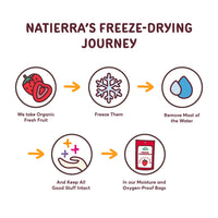 NATIERRA Premium Freeze-Dried Blueberries | Non-GMO & Vegan | 0.7 Ounce (Pack of 8)