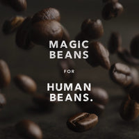 Kicking Horse Coffee, Hola, Light Roast, Ground, 10 oz (Pack of 1)