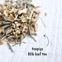teapigs Lemon & Ginger Herbal Tea Bags Made With Whole Leaves (1 Pack of 15 Tea bags) (520)