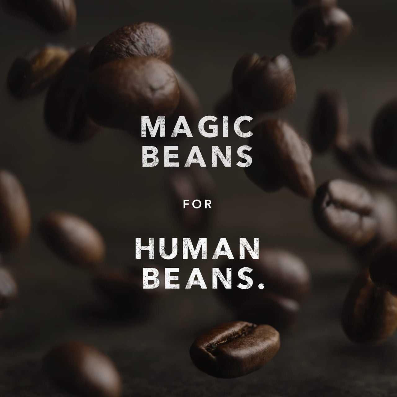 Kicking Horse Coffee, Grizzly Claw, Dark Roast, Ground, 10 oz - Certified Organic, Fairtrade, Kosher Coffee
