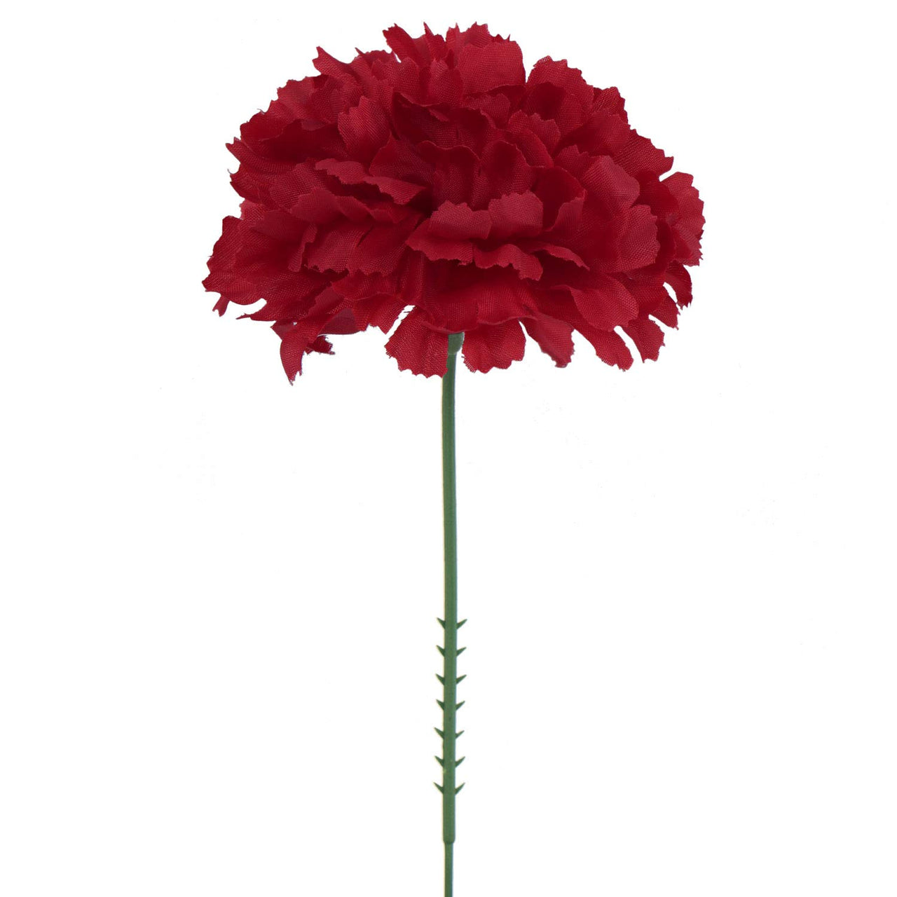 Larksilk Carnations (Burgundy, 50)