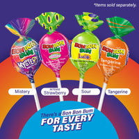 Colombina Bon Bon Bum Lollipops w/Bubble Gum Center - Assorted Mystery Flavor Candy Pack, Blueberry, Pineapple and Watermelon Flavors, Individually Wrapped Gluten Free Suckers 14 oz bag, (24 count)