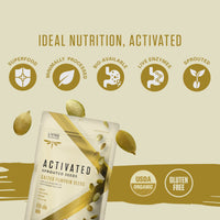 Living Intentions Organic Sprouted Pumpkin Seeds: Salted  NonGMO  Gluten Free  Vegan Kosher  Paleo - 8 Ounce Unit