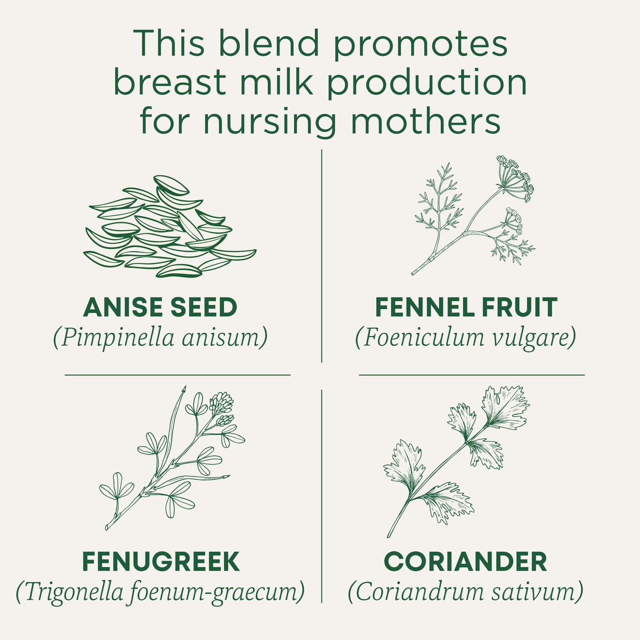 Traditional Medicinals Organic Mother's  Milk Women's  Tea 32ct(pack of 1)