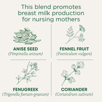 Traditional Medicinals Organic Mother's  Milk Women's  Tea 32ct(pack of 1)