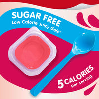 Snack Pack Sugar-Free Cherry Juicy Gels, 4 Count