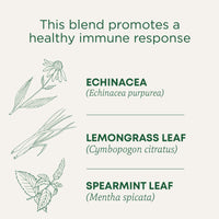 Traditional Medicinals Organic Echinacea Plus Seasonal Tea, 96 Tea Bags(Pack of 6)