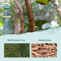 Soeos Organic Cinnamon Sticks, Cinnamon, Ground Cinnamon, Cinnamon Sticks, 100% Raw, Non-GMO, Kosher Certified, Cinnamon Seasoning Spice for Coffee, Baking, Cooking and Beverages 8 oz (226g)