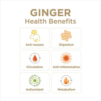 GIN GINS Original Chewy Ginger Candy by The Ginger People - Anti-Nausea and Digestion Aid, Individually Wrapped Healthy Candy - Original Ginger Flavor, Large 1 lb Bag (16 oz)