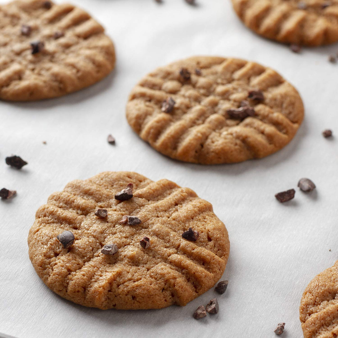 Peanut Butter & Co. Cocoa Peanut Powder, Non-GMO Project Verified, Gluten Free, Vegan, 6.5 Ounce Jars (Pack of 6)