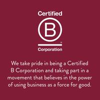 Stash Tea Chai Spice Black Tea, 6 Boxes with 20 Tea Bags Each (120 Tea Bags Total)