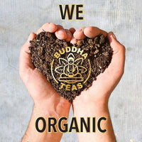 Buddha Teas Organic Skinny Buddha Blend - OU Kosher, USDA Organic, CCOF Organic, 18 Bleach-Free Tea Bag