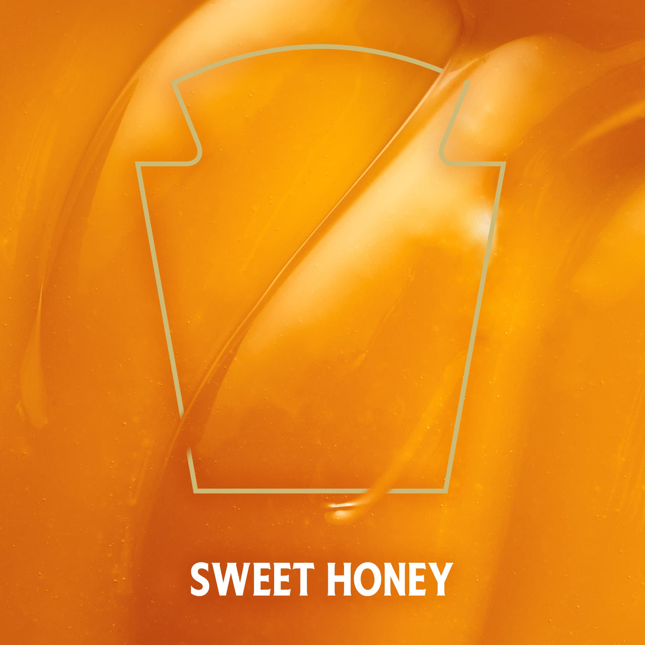 Heinz 57 Infused Honey with Hot Chili (8 oz Bottle)