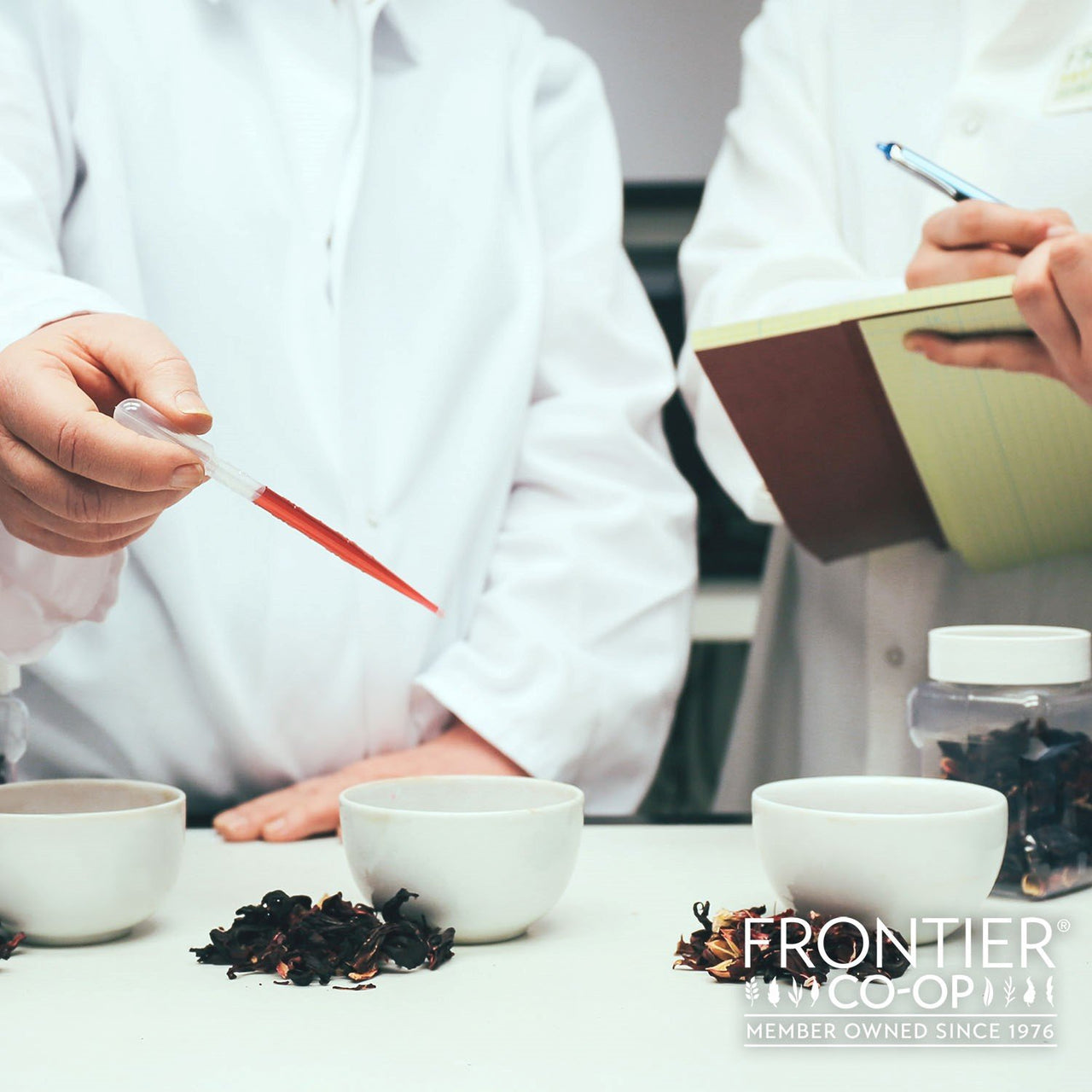 Frontier Co-op Broth Powder,No-Chicken, 16 Ounce Bulk Bag (Pack of 3)