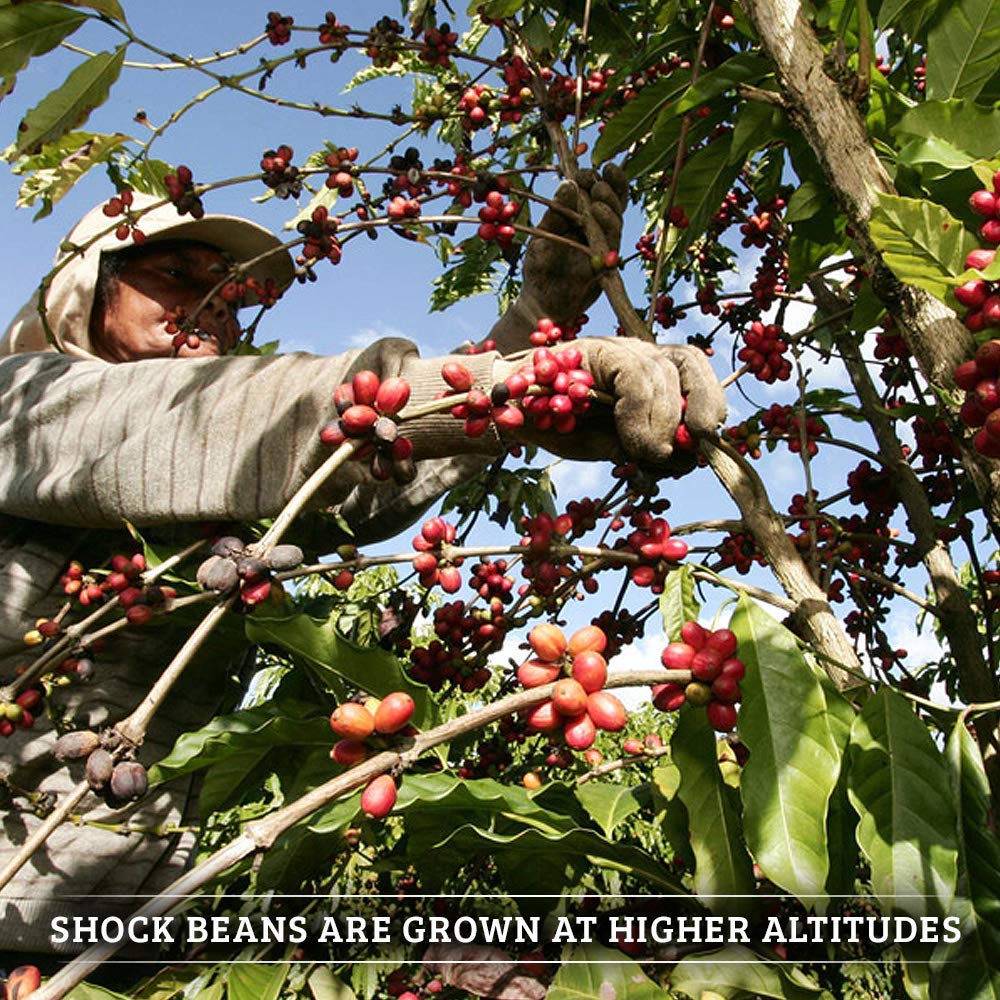 Shock Coffee Single Serve Cups. Up to 50% more Caffeine than Regular Coffee. 12 count - Compatible with Keurig K-Cup Brewers 2.0