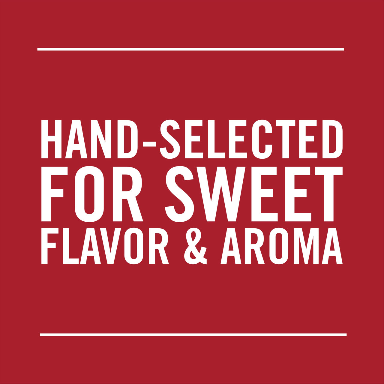 McCormick Cinnamon Sticks, 0.75 oz