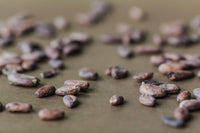 K'UL Chocolate Bars | 4 Pack Pure Dark Chocolate 80% Cacao | Organic, Vegan Chocolate, Gluten Free, Soy Free, Non-GMO, Bean-to-Bar, Fair Trade Dark Chocolate