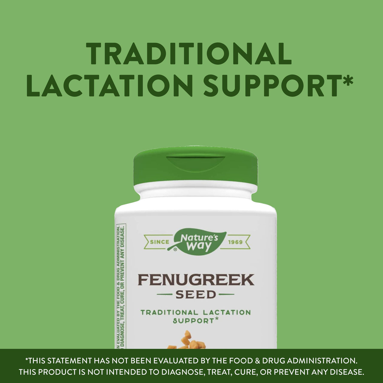 Nature's  Way Fenugreek Seed, Promotes Healthy Lactation*, Non-GMO Project Verified, Vegan, 320 Capsules