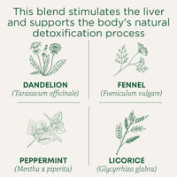 Traditional Medicinals Organic EveryDay Dandelion Detox Tea, 16 Count (Pack of 6)