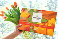 Taylors of Harrogate Green Tea & Herbal Infusions Variety Box, 48 Count