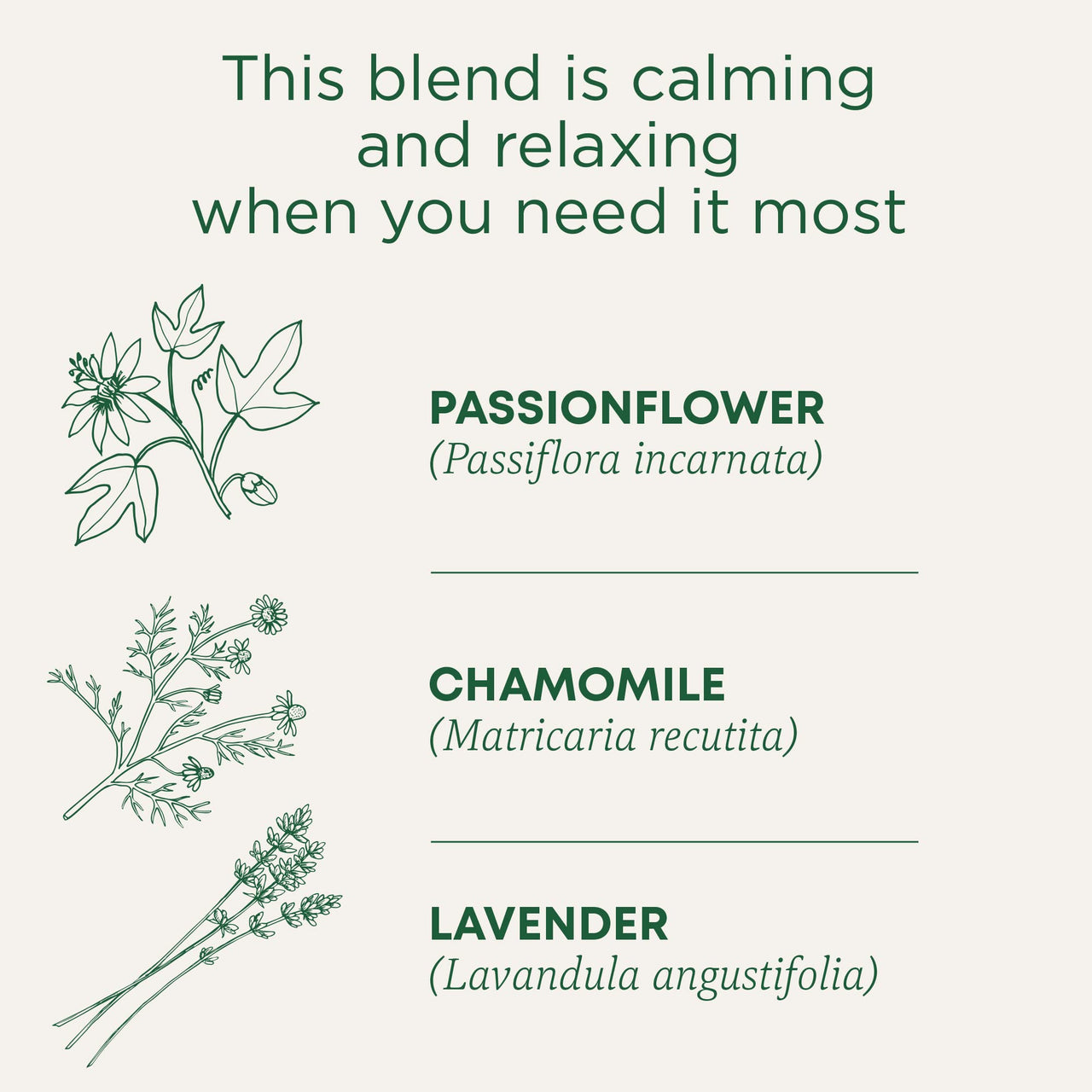 Traditional Medicinals Organic Cup of Calm Tea, 16 Count (Pack of 6)