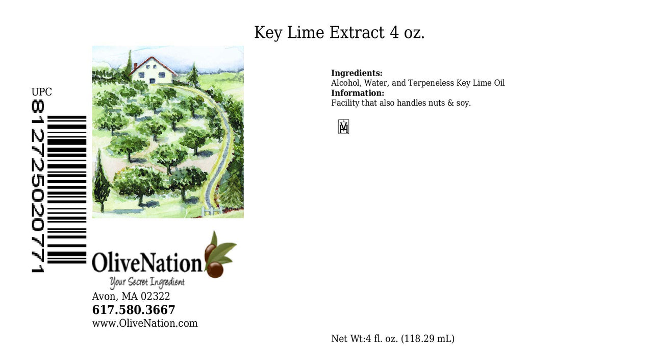 OliveNation Pure Key Lime Extract - 4 ounces - Perfect for candies, key lime pie, cookies, salad dressings and marinades - baking-extracts-and-flavorings