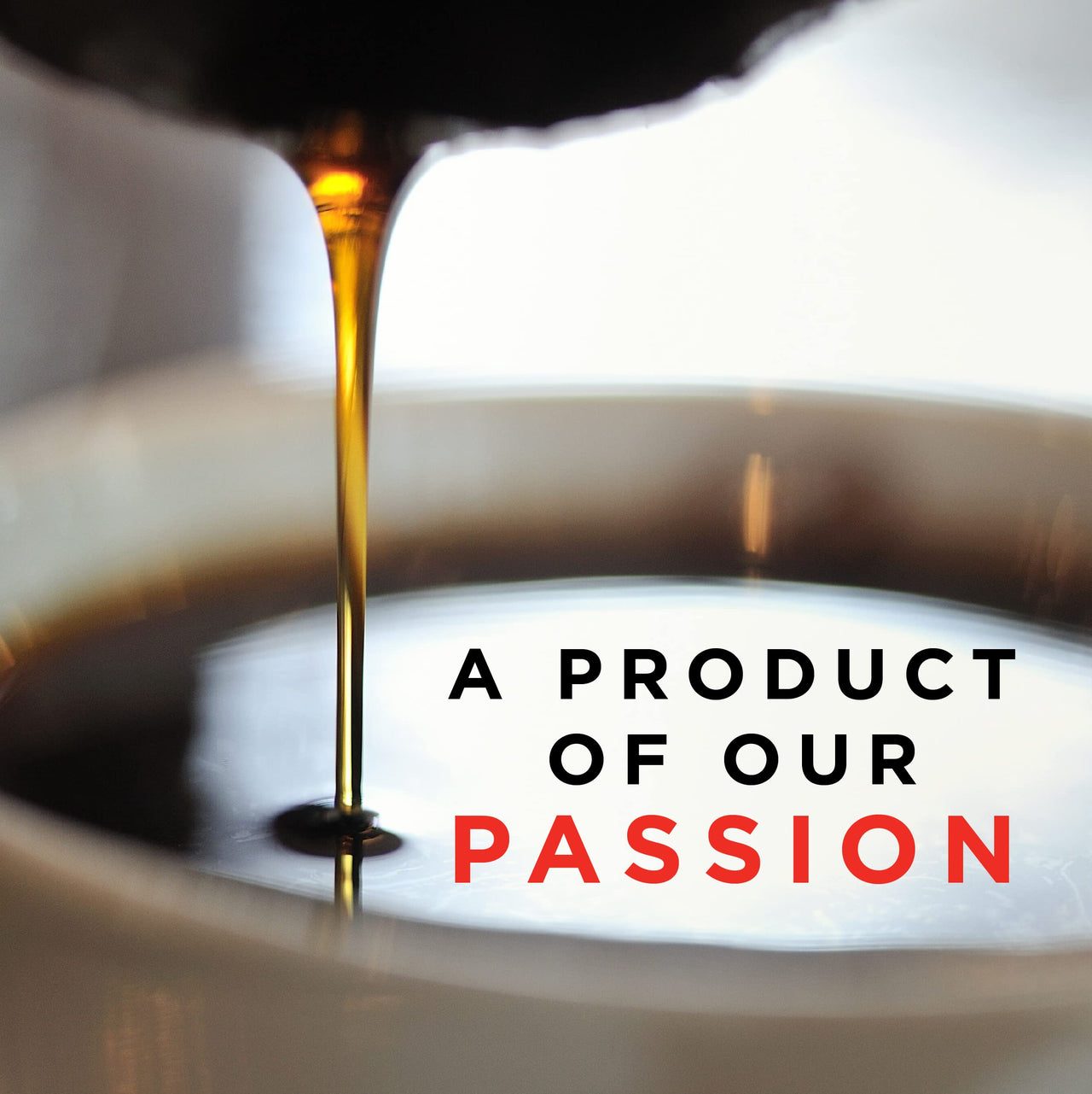 Segafredo Zanetti Single Serve Coffee Pods, Easy to Brew, Arabica Coffee, Works with All K-Cup Brewers, Variety Pack, 40 Count