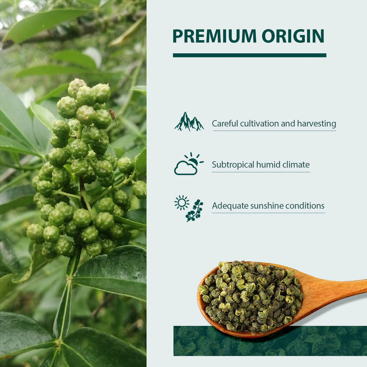 Soeos Authentic Sichuan Grade A Green Sichuan Peppercorns, Less Seeds, Strong Flavor, 4 oz.