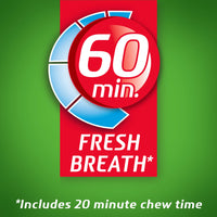 Dentyne Ice Sugar Free Gum (Spearmint 16 Piece Pack of 9)