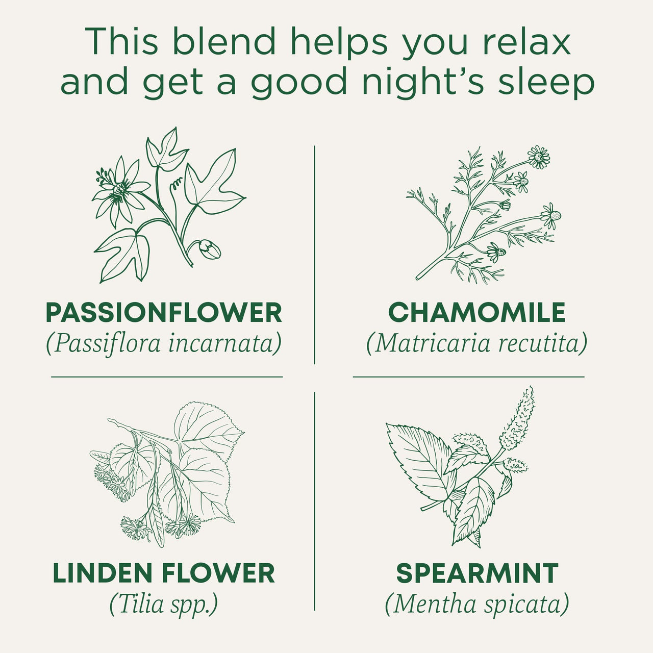 Traditional Medicinals Organic Nighty Night Tea Relaxation Tea, 16 Tea Bags (Pack of 6)