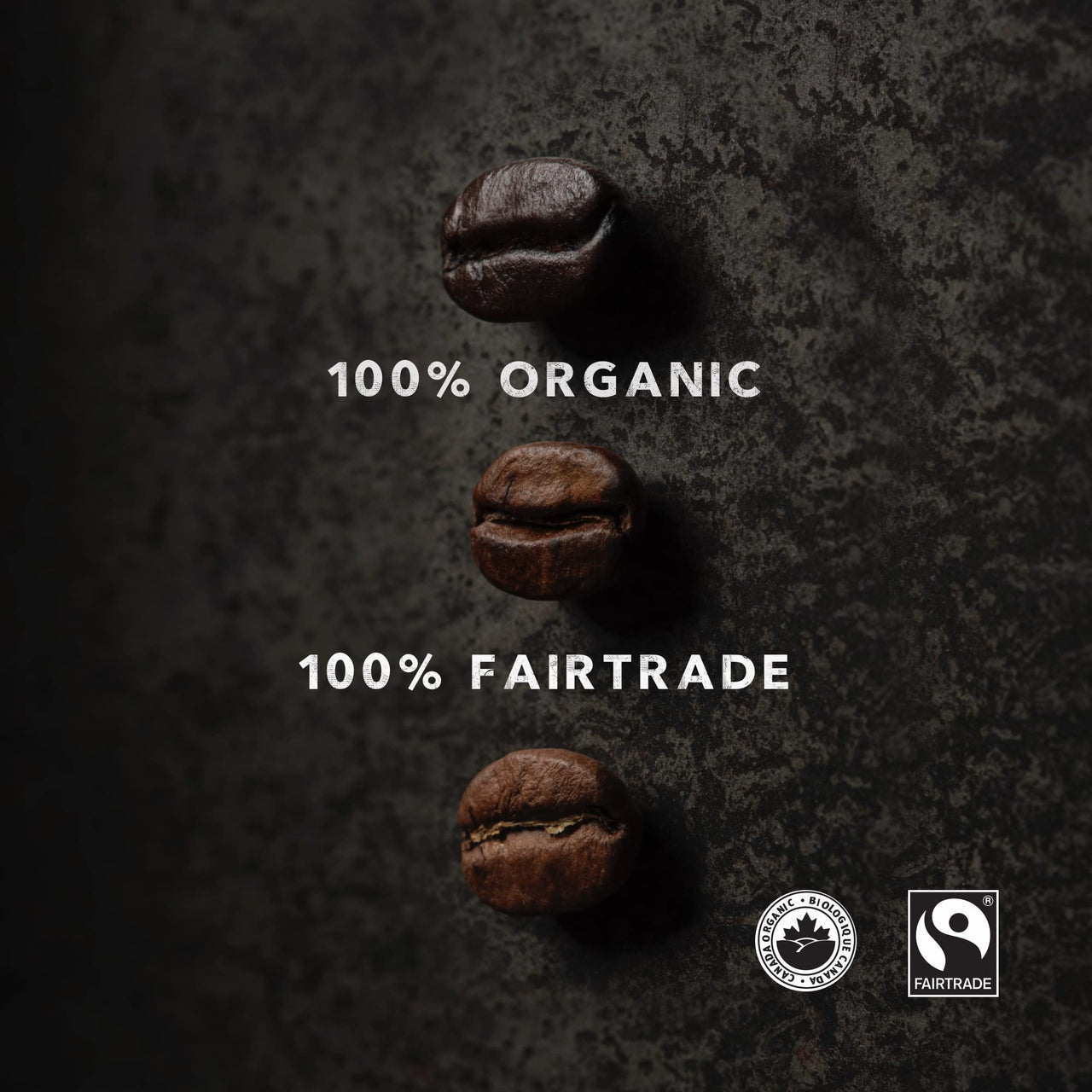 Kicking Horse Coffee, Hola, Light Roast, Ground, 10 oz (Pack of 1)