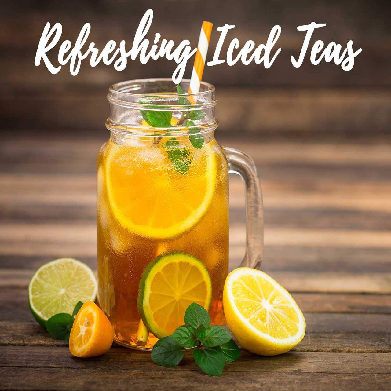 Shangri-La Tea Company Iced Tea, Unsweetened and All Natural, Black Currant, 0.5 Oz (Pack of 6) (5055)