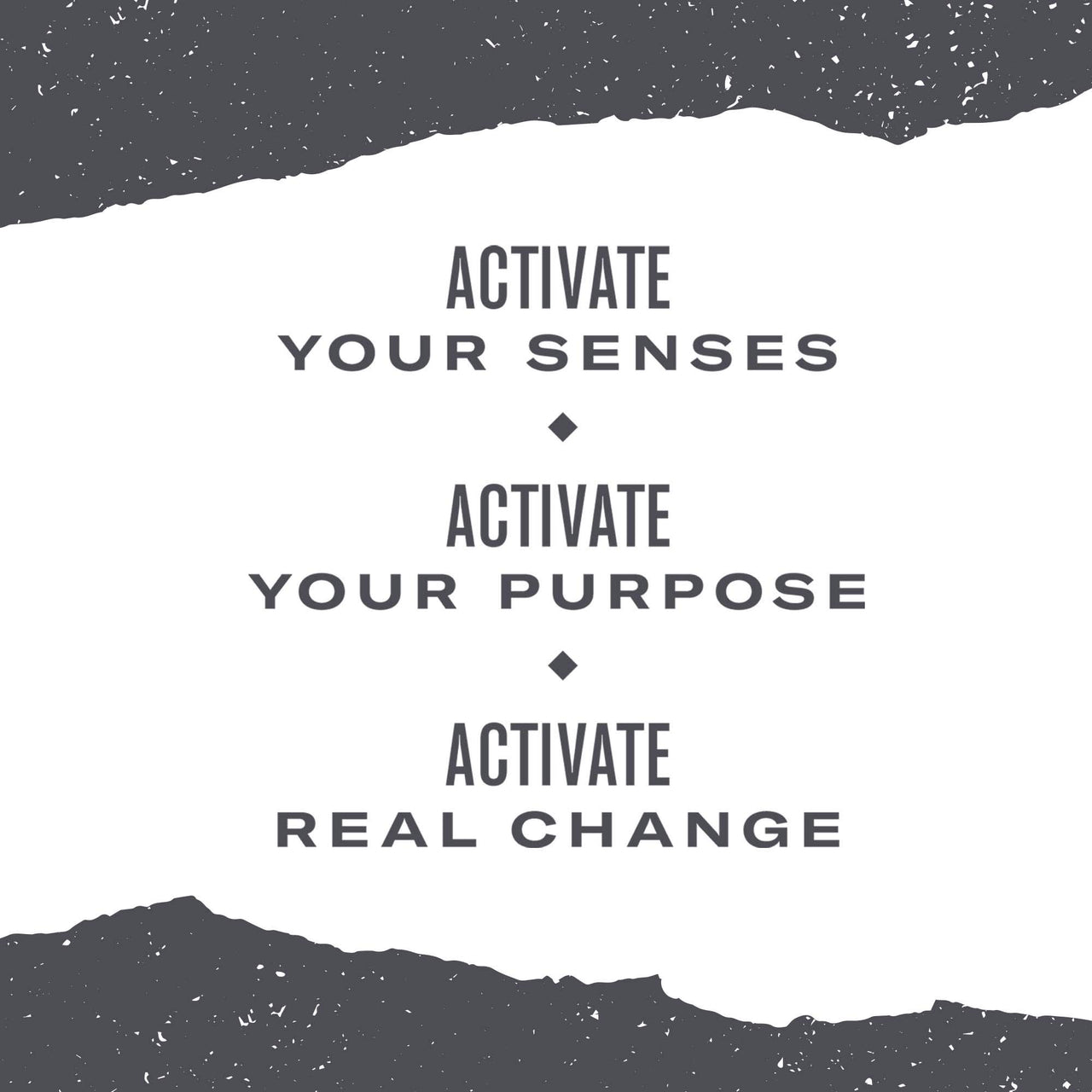 Numi Organic Tea Jasmine Green, 100 Count Box of Tea Bags (Packaging May Vary)