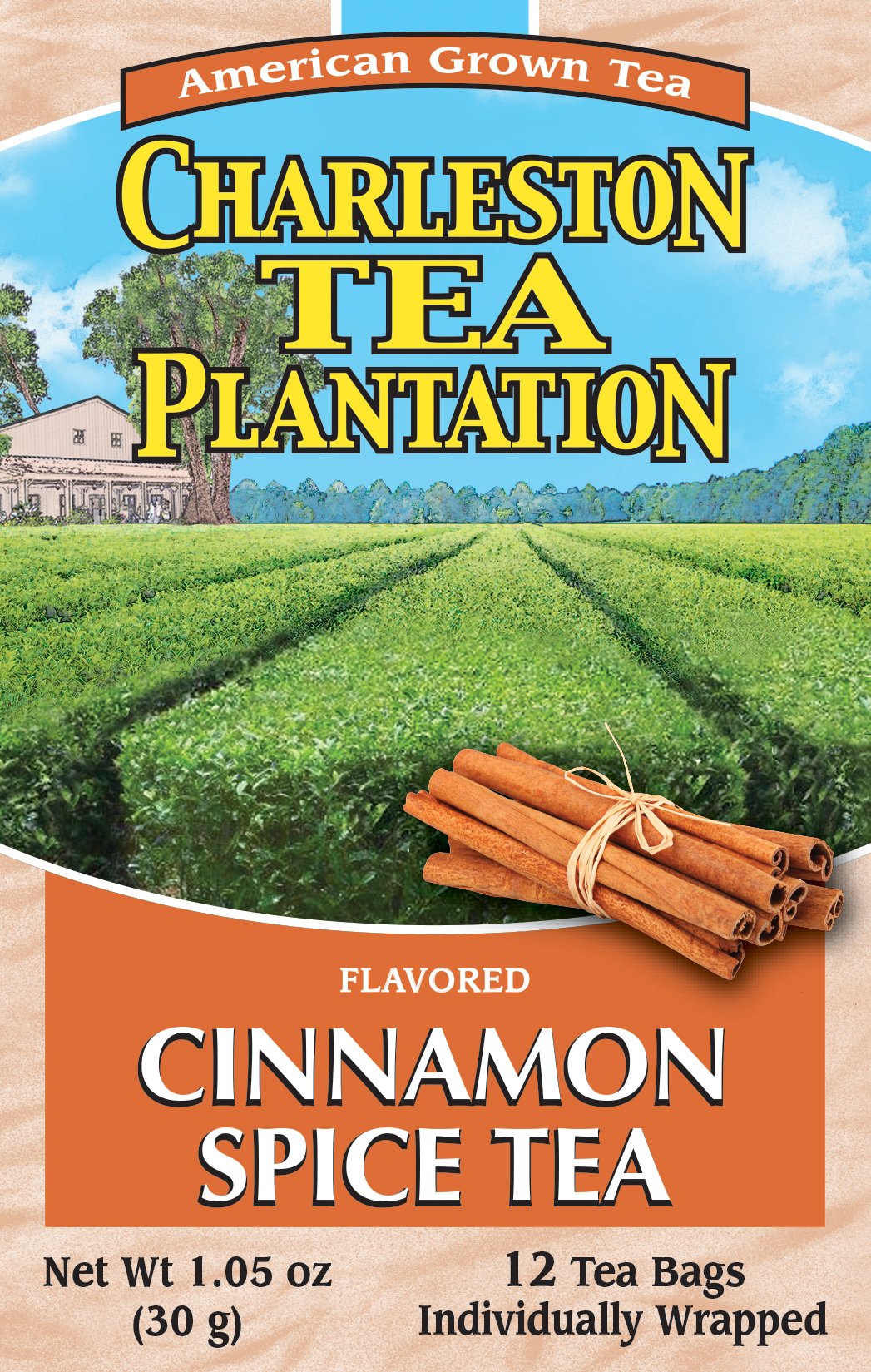 Cinnamon Spice Pyramid Tea Bags, 1.05 Ounce. (SYNCHKG069221)