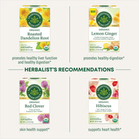 Traditional Medicinals Organic Lemon Everyday DetoxTea, 16 Count (Pack of 6)