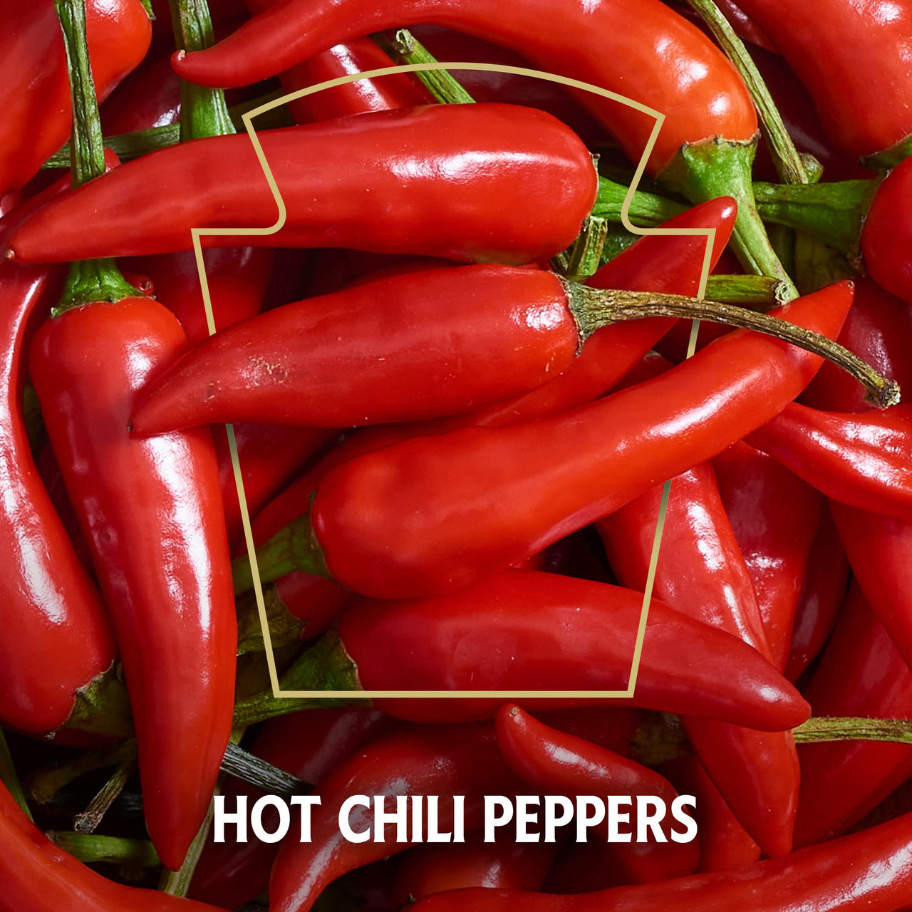 Heinz 57 Infused Honey with Hot Chili (8 oz Bottle)