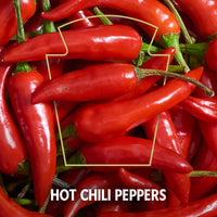 Heinz 57 Infused Honey with Hot Chili (8 oz Bottle)