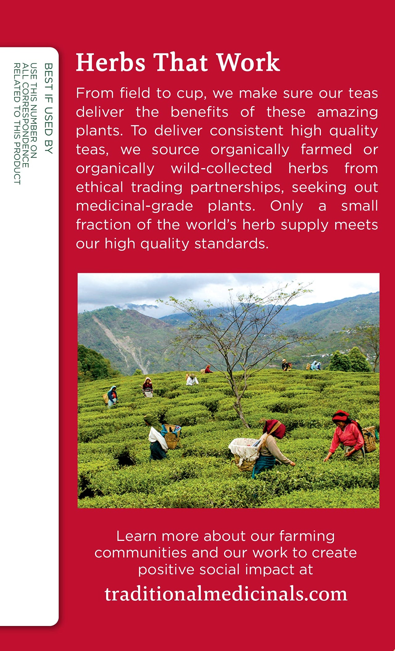 Traditional Medicinals Organic Immune Zoom Lemon Ginger Tea - 16 Ct.
