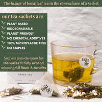 The Spice Hut Genmaicha Green Tea Box, The First Sip of Tea, 16 count (Pack of 1)