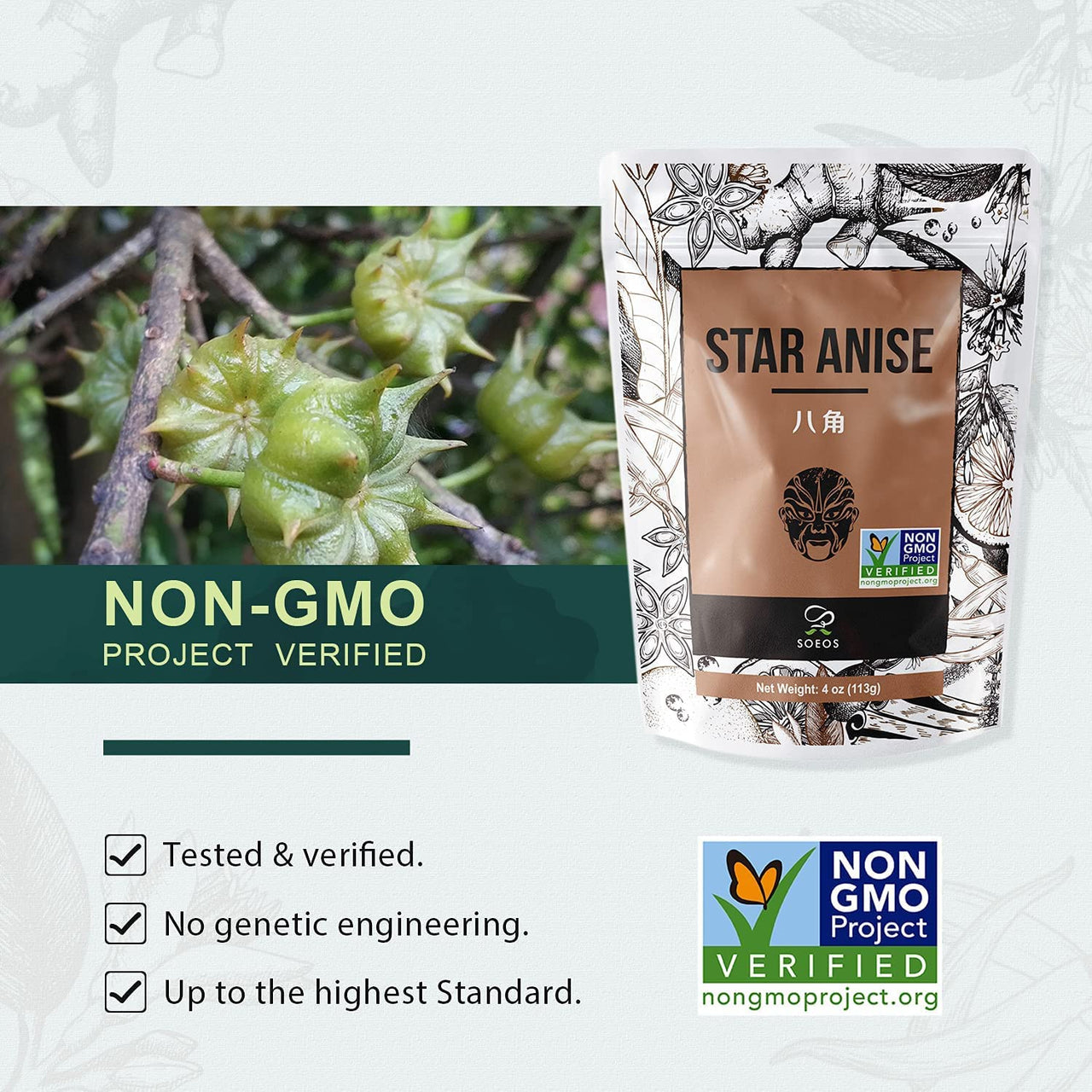 Soeos Star Anise Seeds (Anis Estrella), Whole Chinese Star Anise Pods, Dried Anise Star Spice, 4 oz.