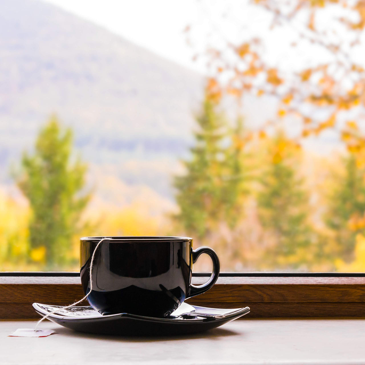 Scottish Breakfast, Loose Leaf Black Tea - Caffeinated | bulk 8oz, 80-100 cups | The Spice Hut, First Sip of Tea