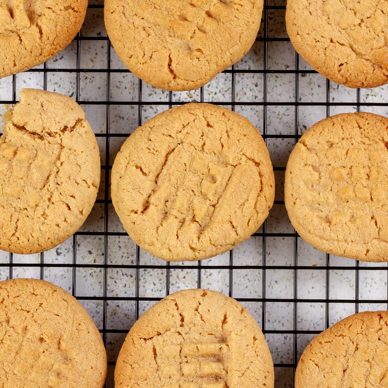 Peanut Butter & Co. Pure Peanut Powder, Non-GMO Project Verified, Gluten Free, Vegan, 6.5 oz Jar